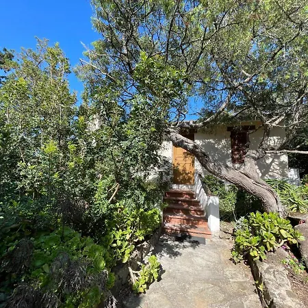 Casa Ottavia Apartment Porto Rotondo